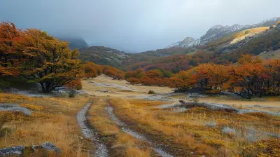 Journey to the Ends of the Earth: The Untouched Wilderness of Patagonia